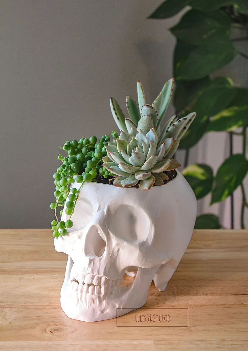 Skull Planter | 3D Printed | Human Skull Replica | Goth Decor | Witchy Decor | Spooky Planter | Halloween Decor | Planter Lover Gift